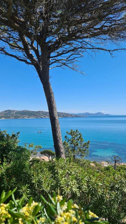 Mi Casita Sainte-Maxime Exterior foto